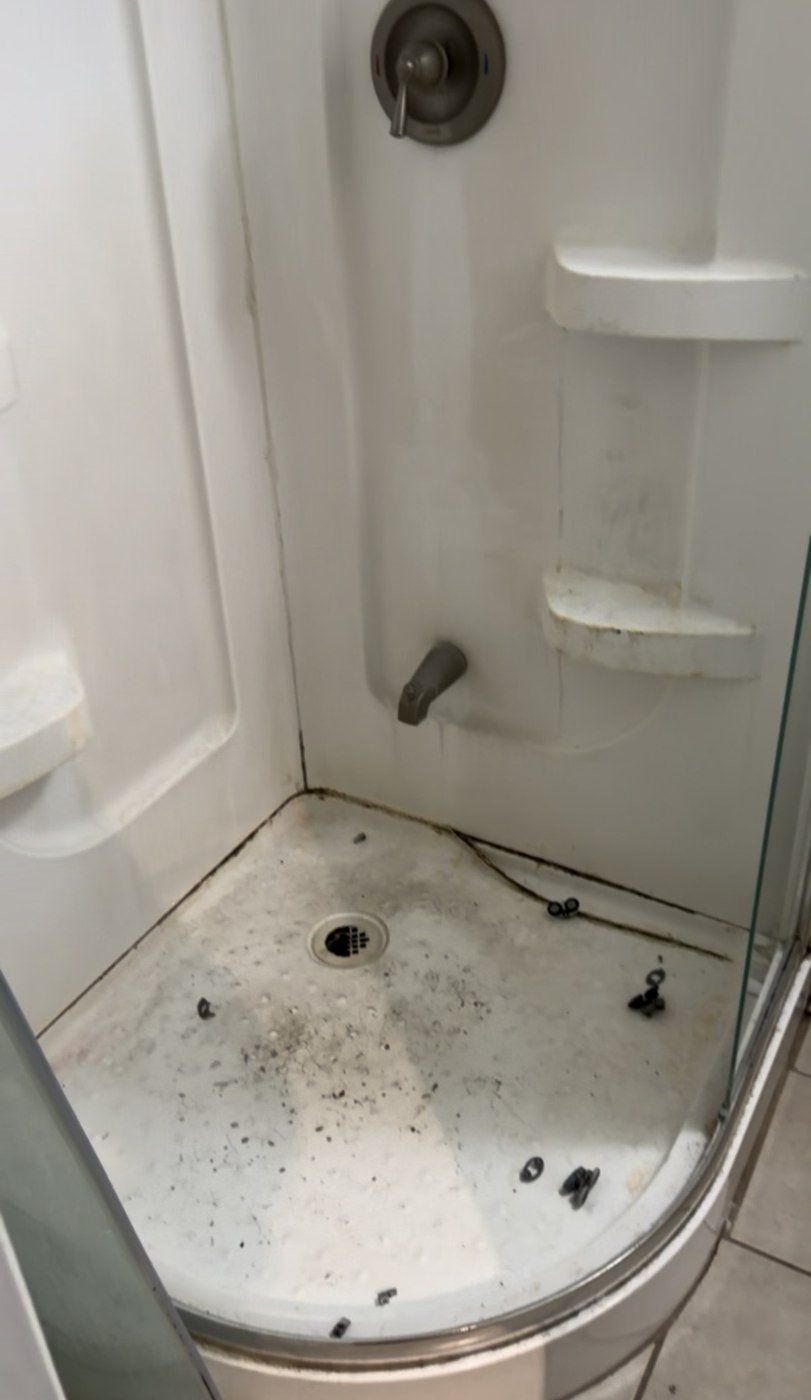 Full bathroom renovation — SJ design — Before